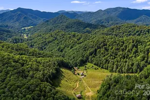 799 Fire Scald Rd, Green Mountain, NC 28740 - Photo 44