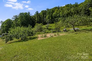 799 Fire Scald Rd, Green Mountain, NC 28740 - Photo 38