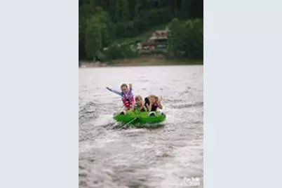 85 Southshore Drive #A1, Tuckasegee, NC 28783 - Photo 44