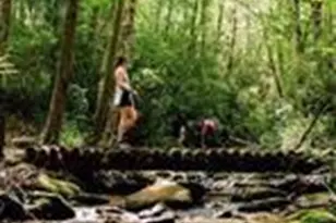 85 Southshore Dr, Tuckasegee, NC 28783 - Photo 38