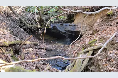 137 Moon Circle, Brevard, NC 28712 - Photo 1