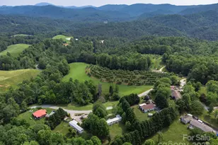 843 Deep Gap Loop Rd, Flat Rock, NC 28731 - Photo 32