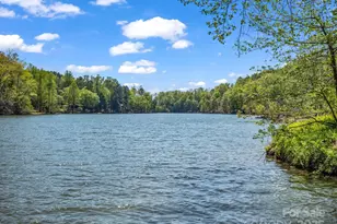 1973 Buffalo Creek Rd, Lake Lure, NC 28746 - Photo 2