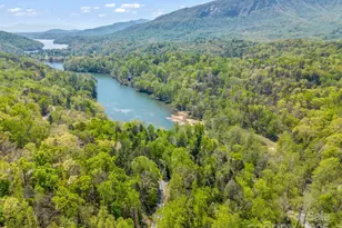 1973 Buffalo Creek Rd, Lake Lure, NC 28746 - Photo 4