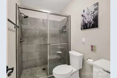 1973 Buffalo Creek Road, Lake Lure, NC 28746 - Photo 24