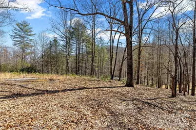 361 Rooster Cove, Brevard, NC 28712 - Photo 28