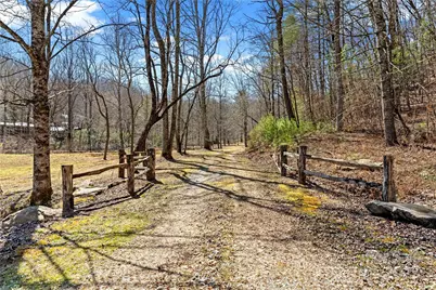 361 Rooster Cove, Brevard, NC 28712 - Photo 8