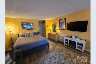 160 Whitney Boulevard #46, Lake Lure, NC 28746 - Photo 4