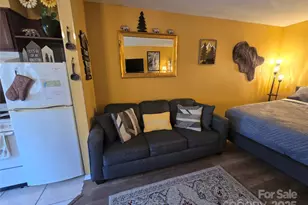 160 Whitney Blvd, Lake Lure, NC 28746 - Photo 10