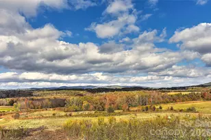 153 Badenyon Pl, Union Grove, NC 28689 - Photo 44