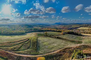 153 Badenyon Pl, Union Grove, NC 28689 - Photo 46