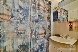 415 Weaverville Rd, Asheville, NC 28804 - Photo 22