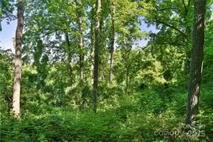 415 Weaverville Rd, Asheville, NC 28804 - Photo 14