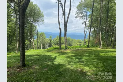 Tbd East Garden Trail #18, Hendersonville, NC 28792 - Photo 4