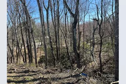0 US 64 Highway, Hendersonville, NC 28792 - Photo 8