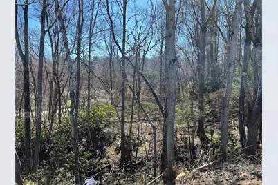 0 US 64 Highway, Hendersonville, NC 28792 - Photo 12