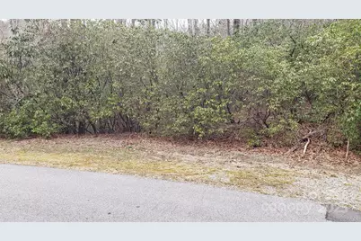 9999 Gagama Court #16/19, Brevard, NC 28712 - Photo 2