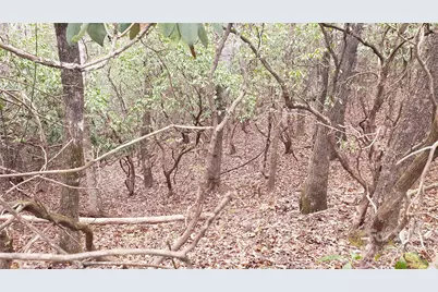 9999 Gagama Court #16/19, Brevard, NC 28712 - Photo 4