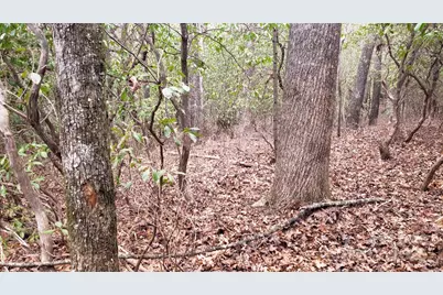 9999 Gagama Court #16/19, Brevard, NC 28712 - Photo 10