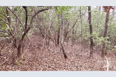 9999 Gagama Court #16/19, Brevard, NC 28712 - Photo 8