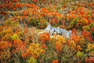 92 Bird Creek Estates Rd, Black Mountain, NC 28711 - Photo 48