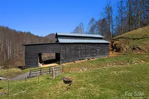 867 Indian Creek Rd, Burnsville, NC 28714 - Photo 32