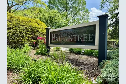 15 Elmwood Lane #161, Asheville, NC 28803 - Photo 48