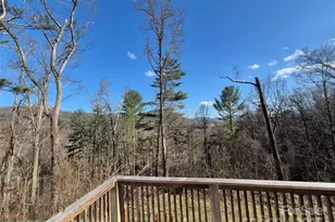 318 Vance Gap Rd, Asheville, NC 28804 - Photo 4