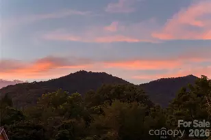 112 Louisa St, Black Mountain, NC 28711 - Photo 48