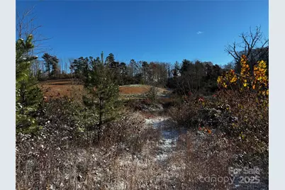 38 Flourish Farm Lane, Asheville, NC 28806 - Photo 40