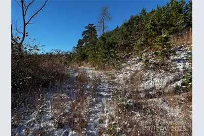 38 Flourish Farm Lane, Asheville, NC 28806 - Photo 36