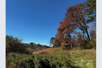 38 Flourish Farm Lane, Asheville, NC 28806 - Photo 4