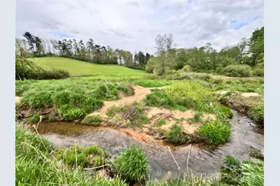 38 Flourish Farm Lane, Asheville, NC 28806 - Photo 10