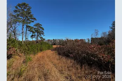 38 Flourish Farm Lane, Asheville, NC 28806 - Photo 2
