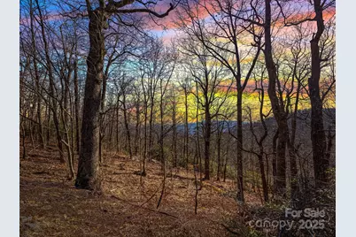 00 Morning Ride Drive #36, Columbus, NC 28722 - Photo 1