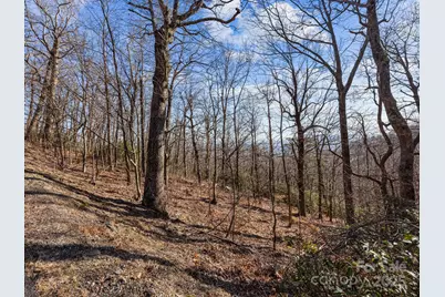 00 Morning Ride Drive #36, Columbus, NC 28722 - Photo 12