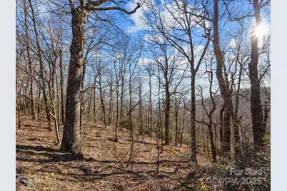 00 Morning Ride Drive #36, Columbus, NC 28722 - Photo 10