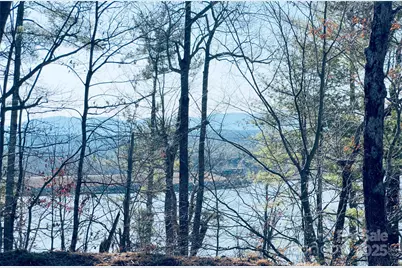 2199 Yellow Fork Trail E, Nebo, NC 28761 - Photo 6