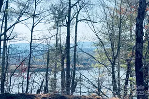 2199 Yellow Fork Trail E, Nebo, NC 28761 - Photo 6