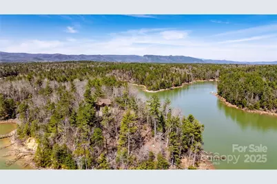 2199 Yellow Fork Trail E, Nebo, NC 28761 - Photo 10