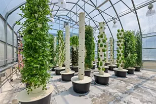 66 Bradley St, Waynesville, NC 28786 - Photo 30