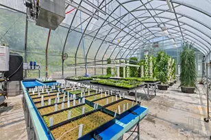 66 Bradley St, Waynesville, NC 28786 - Photo 46