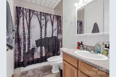 261 Boland Drive, Lake Lure, NC 28746 - Photo 34