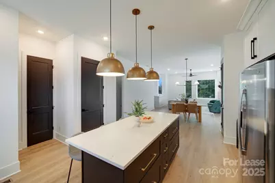 1213 E 36th Street, Charlotte, NC 28205 - Photo 12