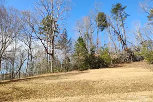 526 Lentz Rd, Marion, NC 28752 - Photo 2