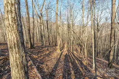885 Stoney Stream Lane, Arden, NC 28704 - Photo 4