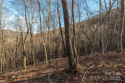 885 Stoney Stream Lane, Arden, NC 28704 - Photo 8