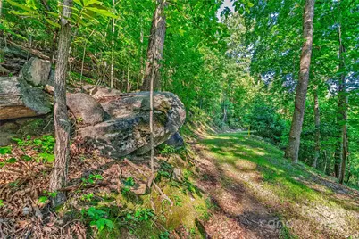 Lot W13 Curtain Bluff, Hendersonville, NC 28791 - Photo 8