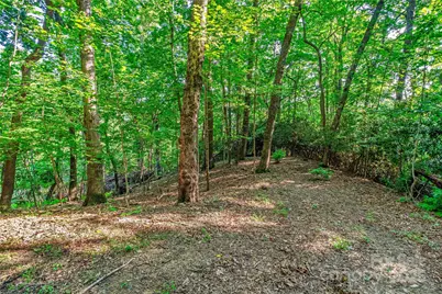 Lot W13 Curtain Bluff, Hendersonville, NC 28791 - Photo 6