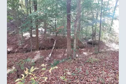 5 Acres Blue Ridge Trail, Columbus, NC 28722 - Photo 4